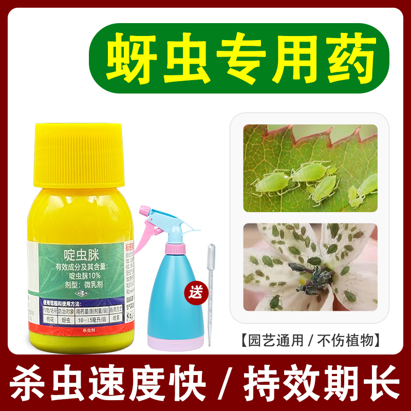 杀蚜虫专用药/送喷壶+滴管