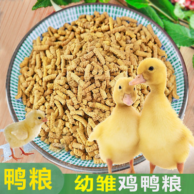 柯尔鸭专用粮科尔鸭小黄鸭宠物鸭的粮食物饲料小鸭子饲料家养用品