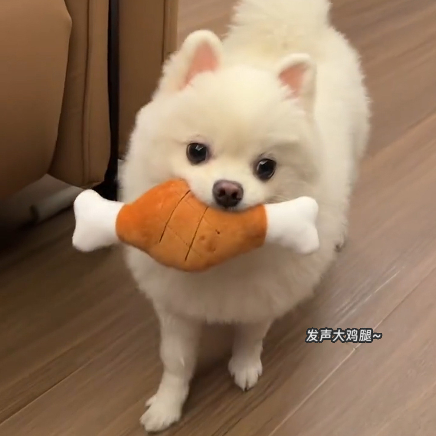 狗狗玩具发声毛绒大鸡腿耐咬自嗨