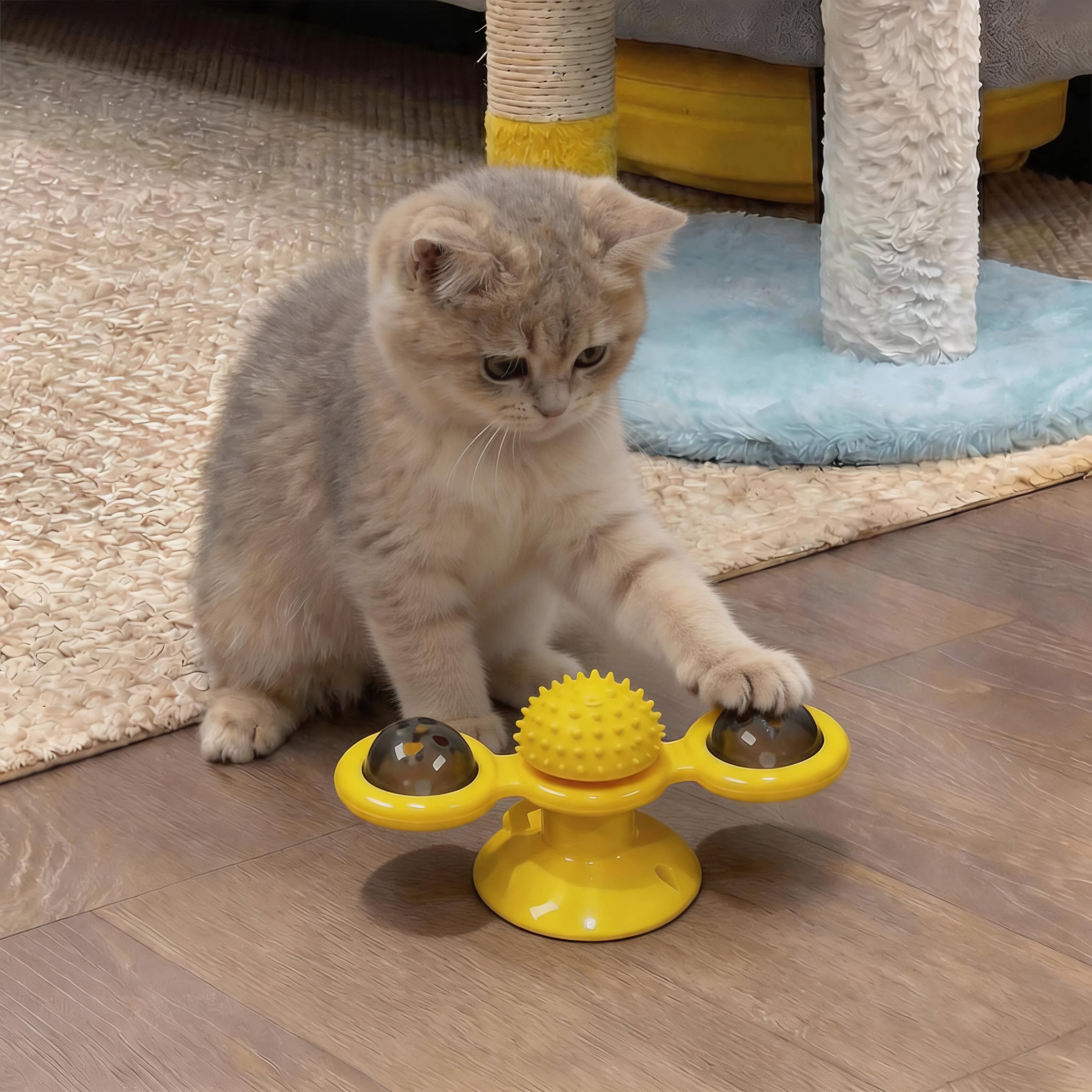 猫玩具吸盘逗猫棒猫薄荷猫咪风车转盘解闷消耗体力逗猫抓板