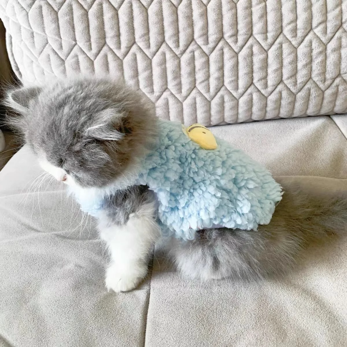 幼犬猫衣服超小秋冬保暖狗狗背心