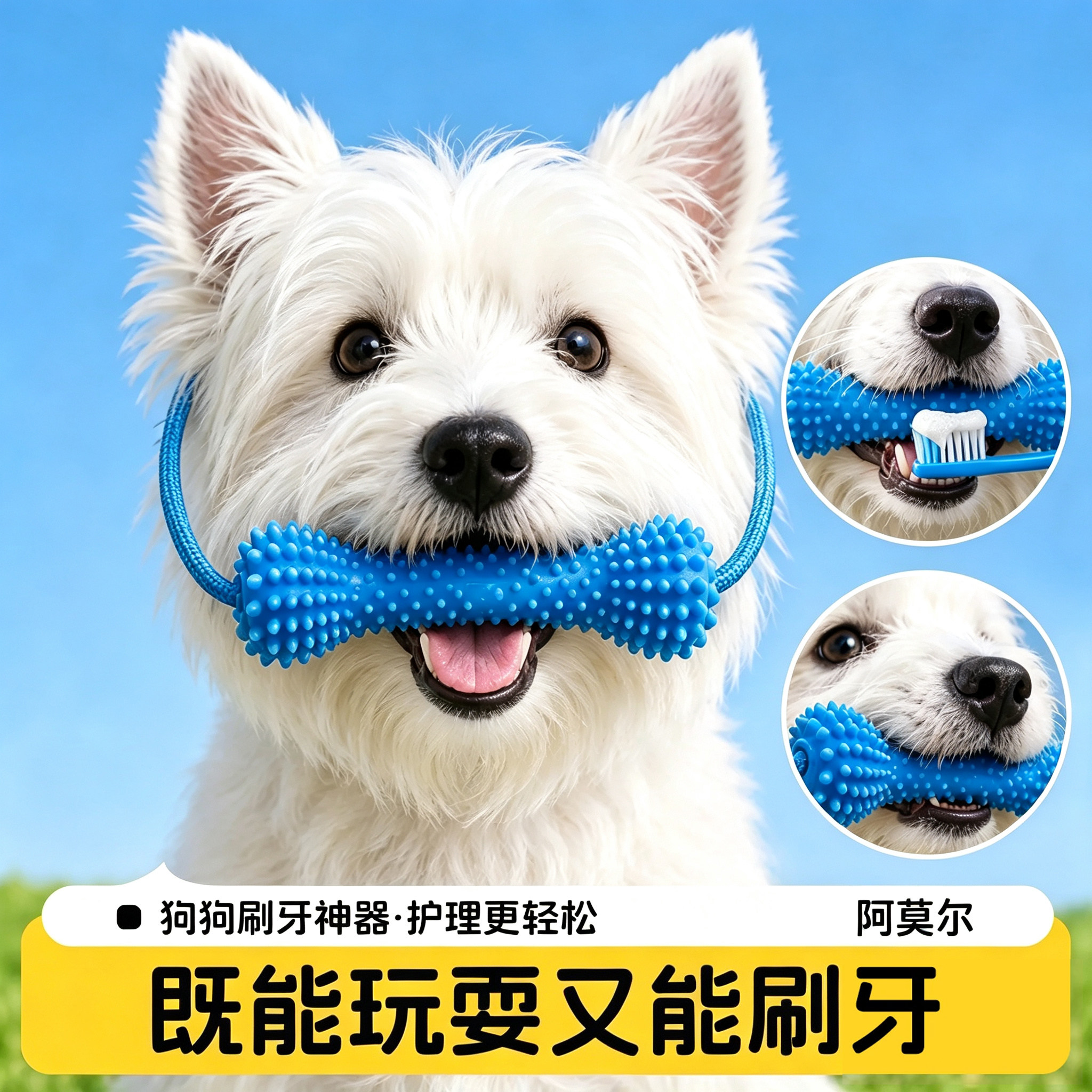 狗狗刷牙辅助器磨牙洁齿橡胶玩具