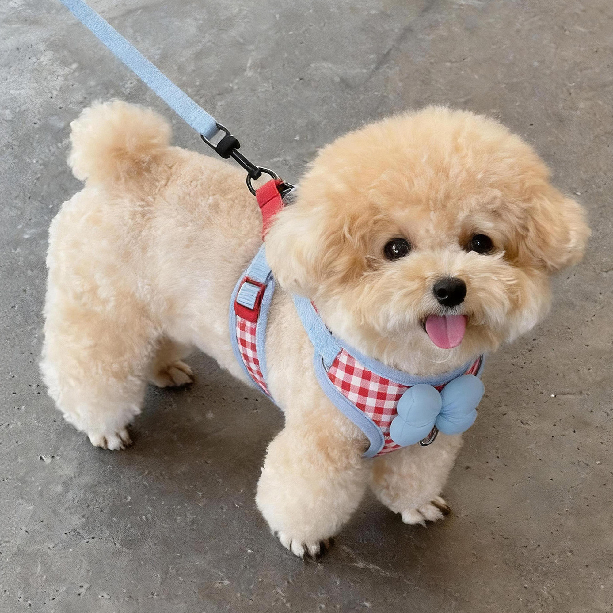 狗狗牵引绳蝴蝶结格纹胸背防勒脖
