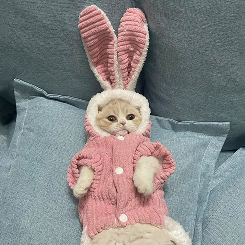 猫咪衣服可爱兔耳朵秋冬保暖棉衣加绒防掉毛冬装蓝猫英短幼猫小狗