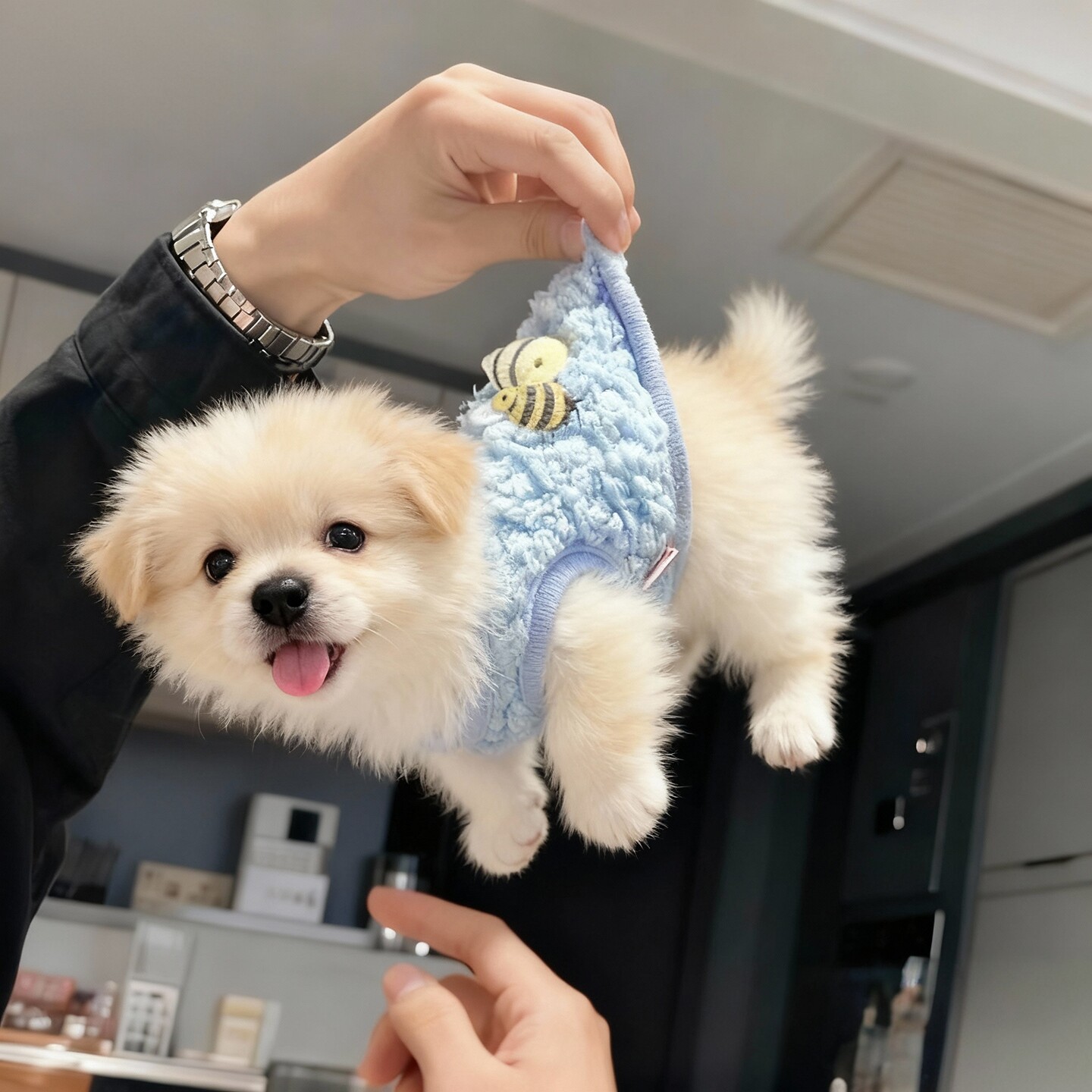 小奶狗保暖衣服比熊泰迪小型宠物