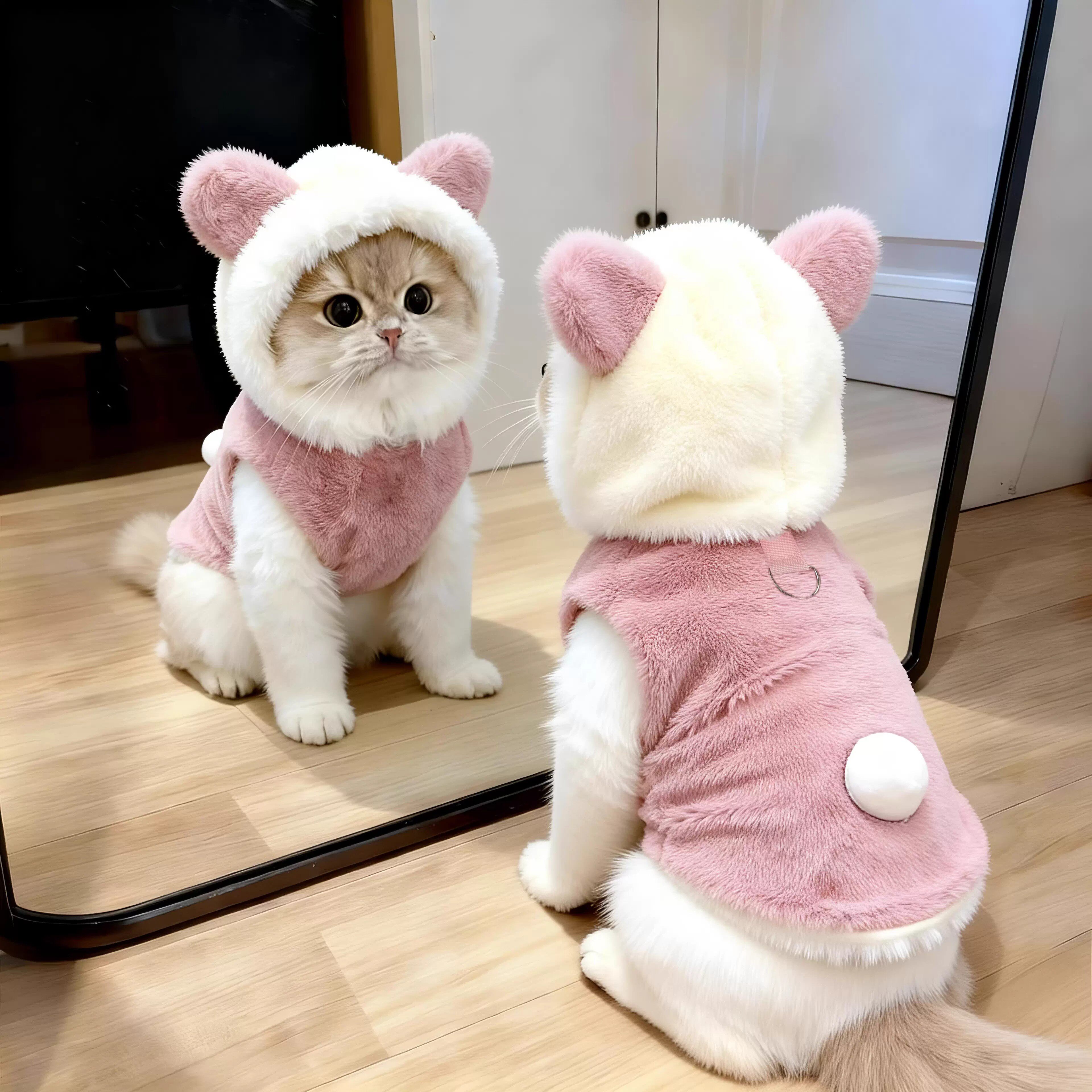 猫咪衣服加厚保暖秋冬款可爱卫衣