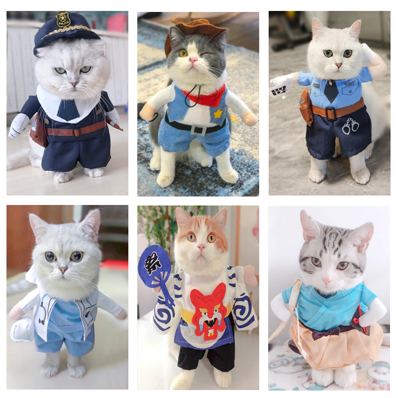 Kitty clothes Funny Funny English short Ragdoll Kittens Upright Dogs Autumn Pets clothingin the Pet/Pet food and supplies , Pet apparel and accessories , Pet clothing/Raincoat  category - from Buy2taobao.com to provide professional Taobao agent buy service