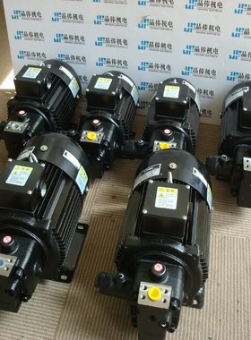 NSP-30-07V0A4-F1-14 不二越NACHI液压站 SS-G01-A5-R-D2-31