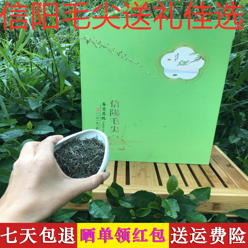 四月茶农早春清茶信阳特产毛尖土野绿茶正宗的礼盒装节日送亲礼。