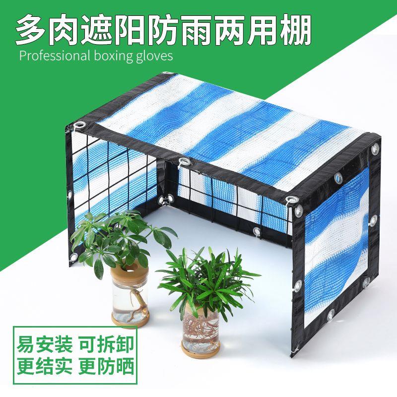 多肉防雨棚网防雨棚多肉植物前开遮阳防雨棚暖房花房厂家