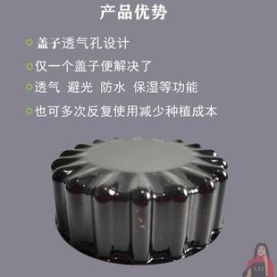 韭黄遮阳罩韭黄种植筒蒜黄黑子PVC软化套遮光农用隔光透气圆厂家