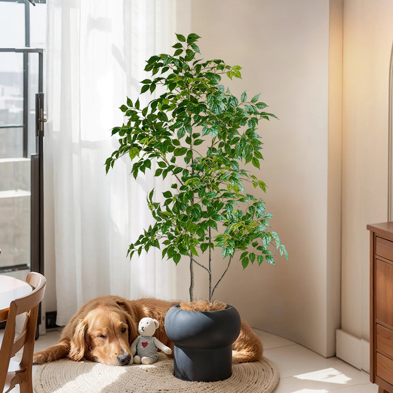 仿真绿植幸福树高端轻奢室内客厅电视柜落地摆件仿生植物盆栽假树,家居饰品,仿真植物盆景,淘宝优惠券,粉丝福利购,淘宝优惠卷