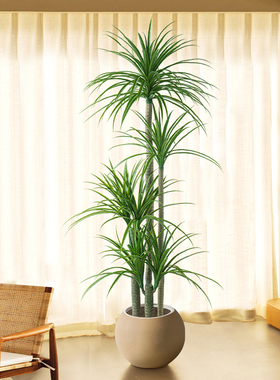 模拟植物龙血树落地式盆栽室内大型彷生绿色植物装饰品客厅可达豪