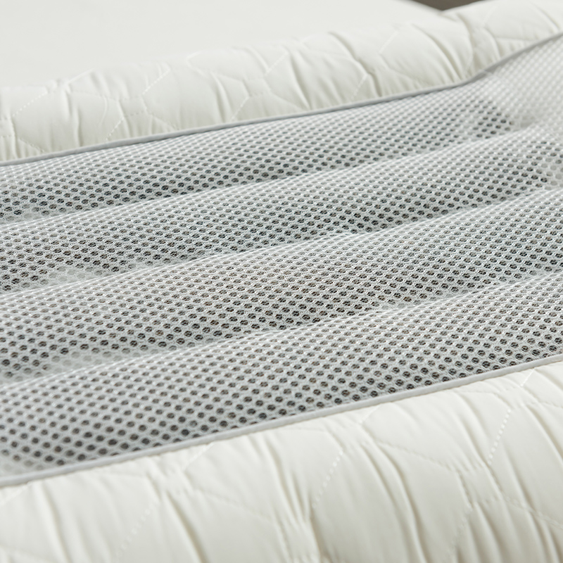 决明子枕头护颈椎枕芯q家用舒适柔软一对装单人全棉不变形不塌陷