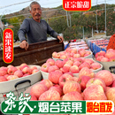 拉丝苹果山东烟台红富士5斤80 85mm条纹栖霞脆甜苹果