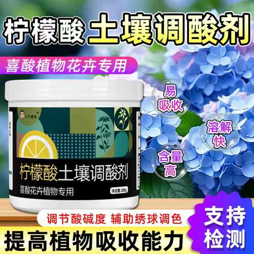 柠檬酸土壤调节剂辅助绣球调蓝