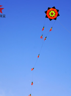 八卦210格子布微风易飞