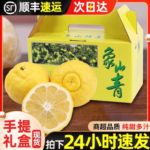 浙江象山青柑橘黄金贡柚新鲜春香金柚应当季10斤整箱水果甜桔柚子