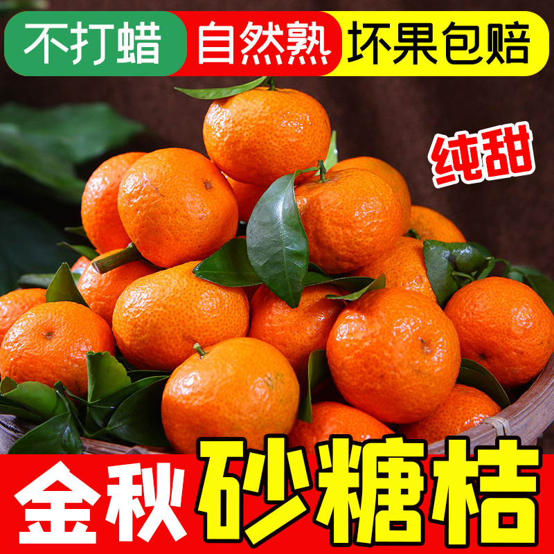 头茬好果 现摘现发 新鲜带叶