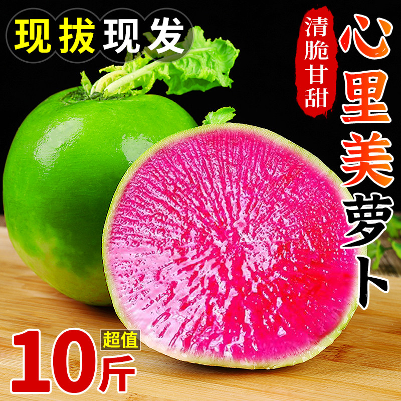 心里美萝卜9斤绿皮红心胭脂萝卜当季新鲜脆甜水果型生吃蔬菜包邮