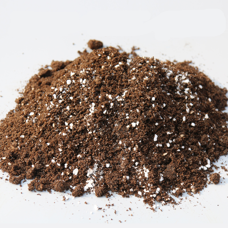 左家花园通用型营养土盆栽多肉