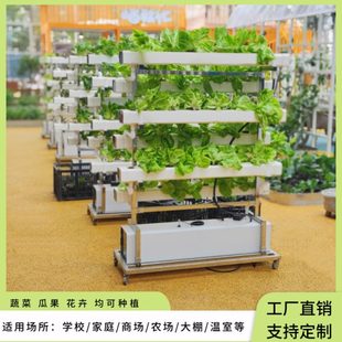 NFT无土栽培蔬菜草莓种植双面垂直架水培设备阳台水耕多层种菜机