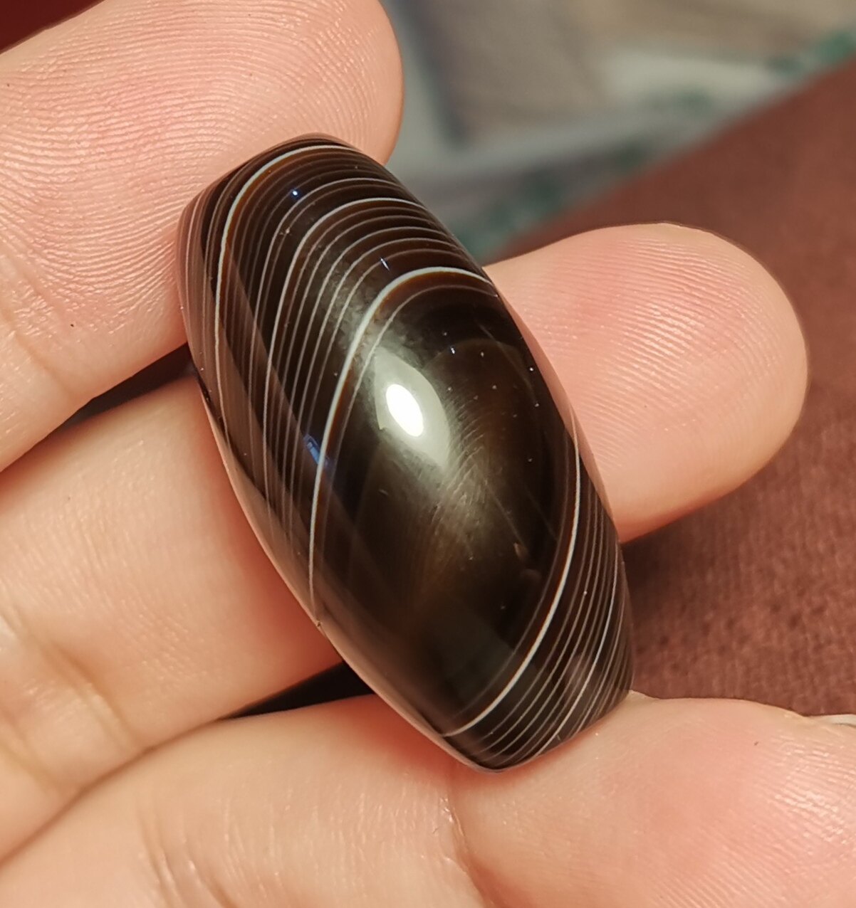 牧区古玩16.5*31mm缠丝玛瑙星辰金刚一眼佛珠一物一图锁骨链吊坠