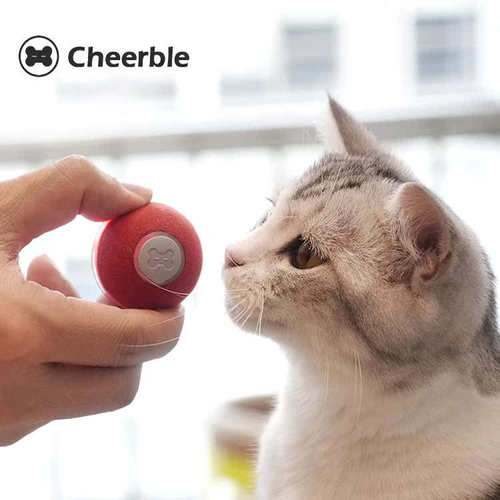 海外同款Cheerble猫咪智能玩具