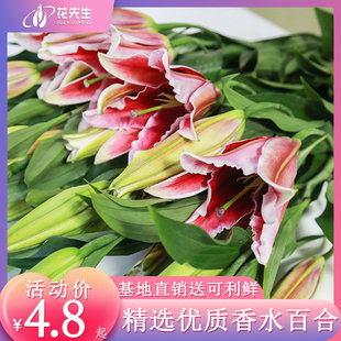 广州百合鲜花剑兰玫瑰花向日葵花束节日水养云南昆明直发同城速递