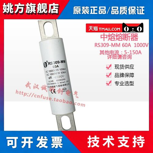 西安中熔 RS309-MM-50A-60A-70A-80A-100A-125A 1000VDC