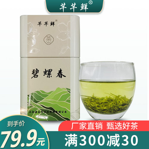 2026新茶明前碧螺春散装茶叶浓香型绿茶礼盒罐装高山日照充足春茶