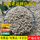 云南正宗老品种白扁豆500g中药材去湿食用扁豆农家自种新货饱满