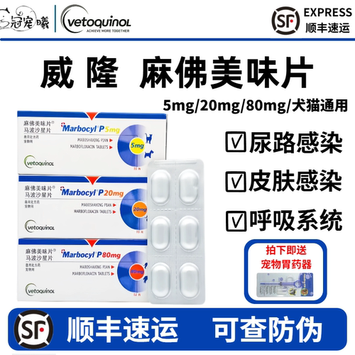 威隆麻佛美味片猫狗尿路感染脓皮