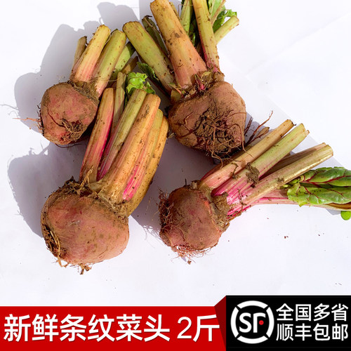 条纹甜菜头2斤 新鲜螺旋纹红菜根小菜头西餐摆盘 包邮