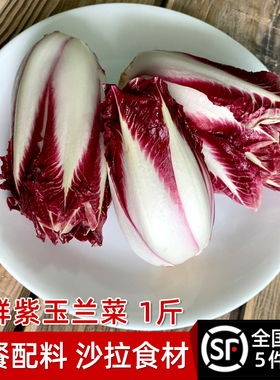 绿食者 紫玉兰菜500g新鲜蔬菜芽球菊苣chicory比利时沙拉西餐食材