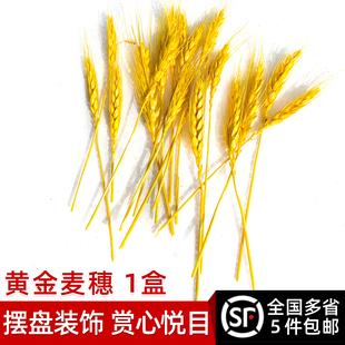 包邮 黄金麦穗1盒 5件顺丰 饰礼品拍摄麦穗材料 丰收稻穗田园摆盘装