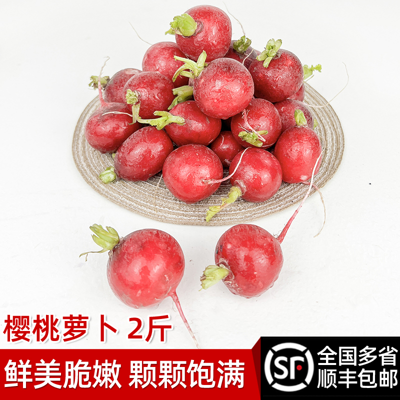 新鲜樱桃萝卜绿食者顺丰包邮