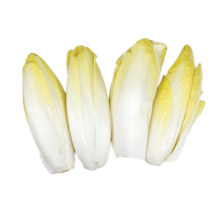 玉兰菜2斤 新鲜蔬菜金玉兰苦白菜欧洲菊苣比利时芽球沙拉食材包邮
