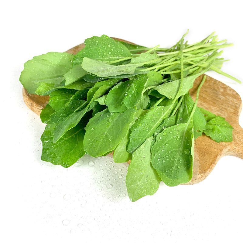 芥兰苗500g 新鲜蔬菜绿叶菜嫩叶炒菜火锅食材 1件顺丰包邮