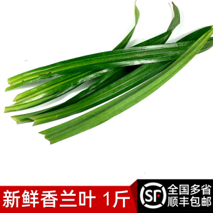 新鲜香兰叶500g 班兰叶甲抛叶斑斓蛋糕千层糕芒果糯米饭调料香料