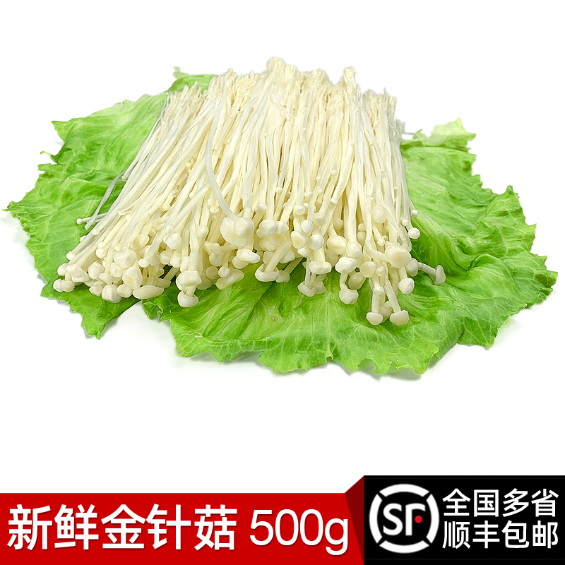 新鲜金针菇500g 时鲜菌类 凉拌烧烤蔬菜火锅素菜配菜麻辣烫食材