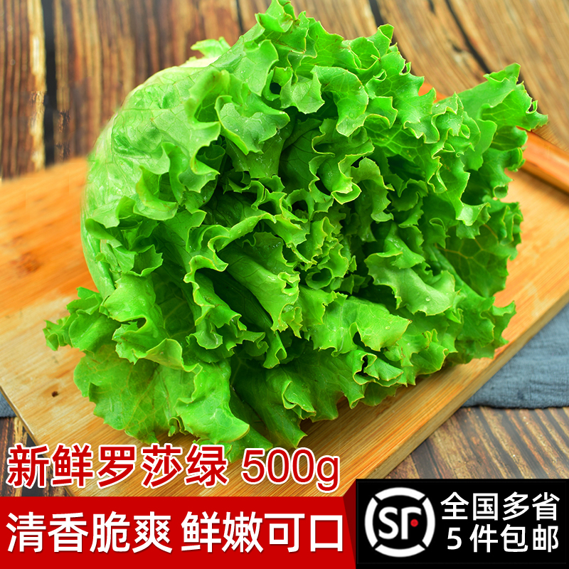 食者罗莎绿生花边配菜新鲜沙拉