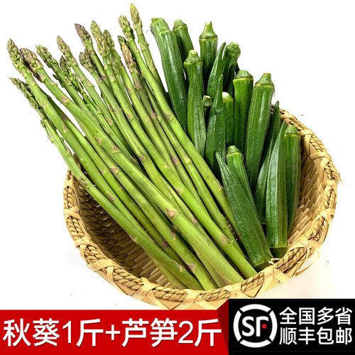 新鲜蔬菜组合3斤 芦笋秋葵当季混合蔬菜龙须菜家庭装农家自种蔬菜
