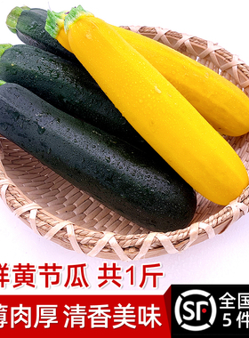 青黄节瓜共1斤 青黄西葫芦西餐香料炒菜食材 5件包邮