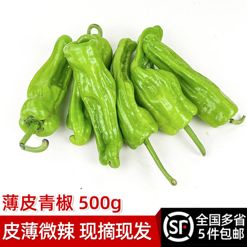 新鲜薄皮青椒绿食者农家自种蔬菜