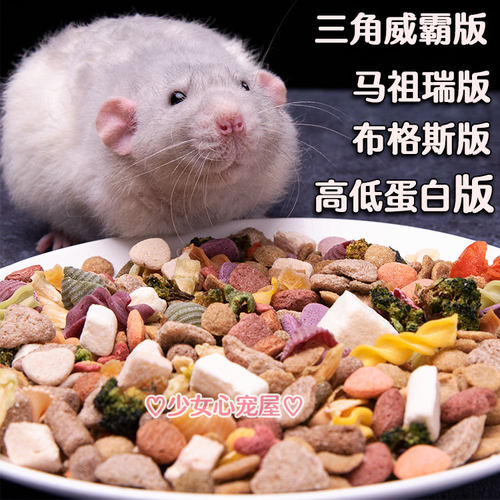 花枝鼠主粮高蛋白幼鼠吃低成年
