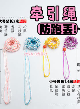 链子项圈外带用品花枝鼠