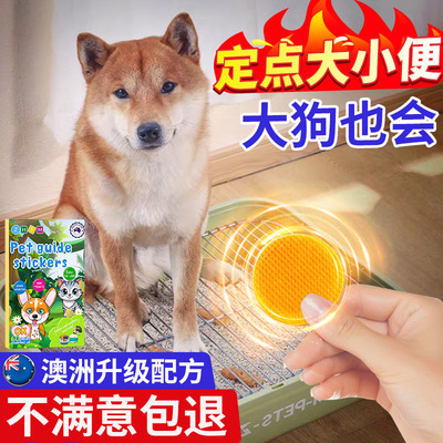 狗狗定点上厕所神器排便诱导剂狗厕所尿垫专用引导宠物上厕所神器