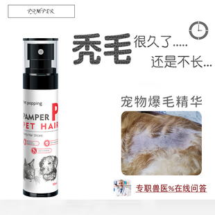 宠物促毛精油液狗狗毛囊受损修复身上不长毛皮肤黑药剃脱掉秃没毛