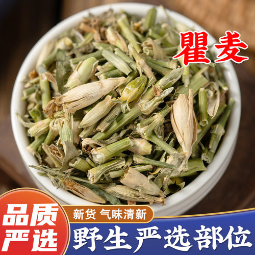 【瞿麦中药材野生新货】药厂直销